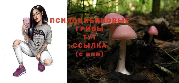 кокс Лагань