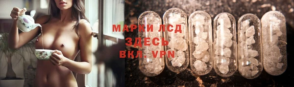 молекула духа Ладушкин