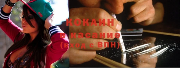 молекула духа Ладушкин